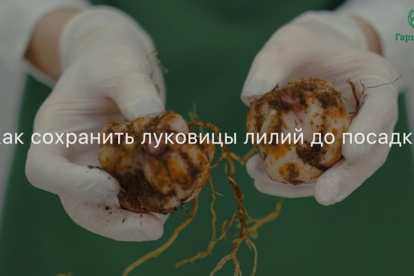 Что случилось с кракеном сайт