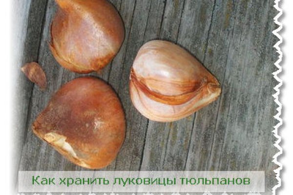 Kraken ссылка для тору
